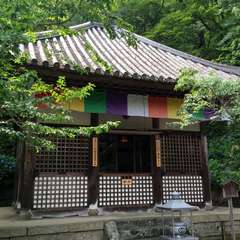 投稿日:2016年6月17日 写真