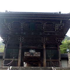 投稿日:2019年9月9日 写真