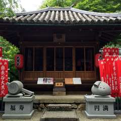 投稿日:2016年6月17日 写真