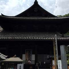 投稿日:2016年6月17日 写真