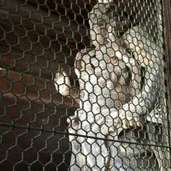 投稿日:2016年6月17日 写真