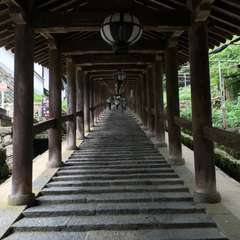 投稿日:2016年6月17日 写真