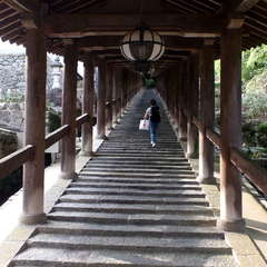 投稿日:2019年9月9日 写真