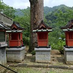 投稿日:2016年6月17日 写真