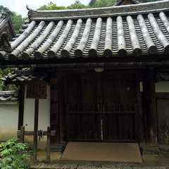 投稿日:2016年6月17日 写真