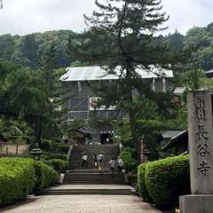 投稿日:2016年6月17日 写真