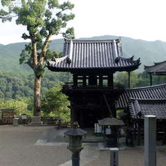 投稿日:2019年9月9日 写真