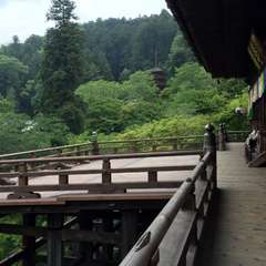 投稿日:2016年6月17日 写真