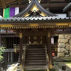 投稿日:2016年6月17日 写真