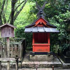 投稿日:2016年6月17日 写真