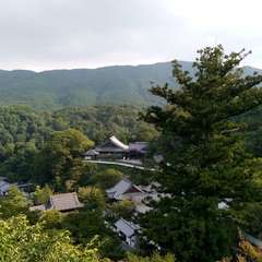 投稿日:2019年9月9日 写真