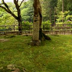 投稿日:2016年6月17日 写真