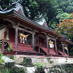 投稿日:2016年6月17日 写真