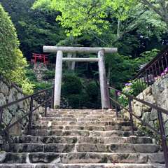 投稿日:2016年6月17日 写真