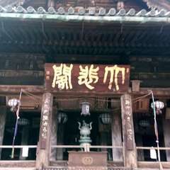 投稿日:2019年9月9日 写真