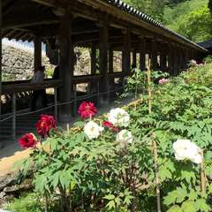 投稿日:2016年6月10日 写真