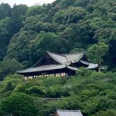投稿日:2016年6月17日 写真