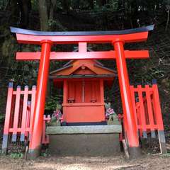 投稿日:2016年6月17日 写真