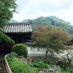 投稿日:2016年6月17日 写真