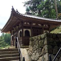 投稿日:2016年6月17日 写真