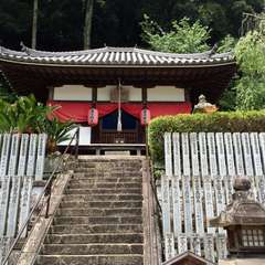 投稿日:2016年6月17日 写真