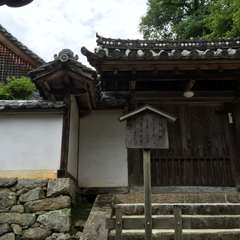 投稿日:2016年6月17日 写真