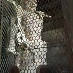 投稿日:2016年6月17日 写真