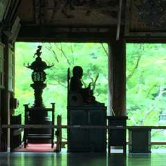 投稿日:2016年6月17日 写真