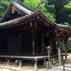 投稿日:2016年6月17日 写真