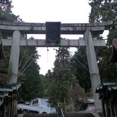 投稿日:2016年11月23日 写真