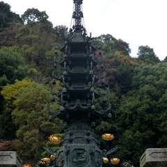 投稿日:2016年11月23日 写真