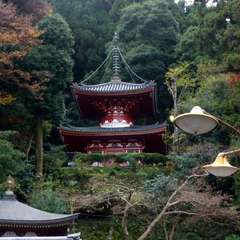 投稿日:2016年11月23日 写真