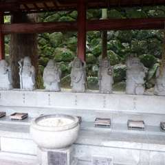 投稿日:2016年11月23日 写真