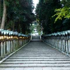 投稿日:2016年11月23日 写真