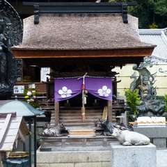 投稿日:2016年11月23日 写真