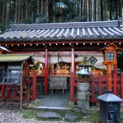 投稿日:2016年11月23日 写真