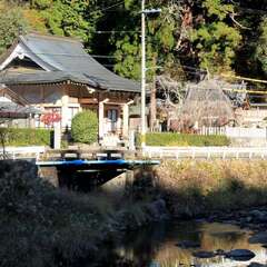 真楽寺と伊豆神社は隣同士です。(投稿日:2025年11月26日) 写真