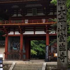 投稿日:2016年6月19日 写真