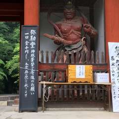 投稿日:2016年6月19日 写真