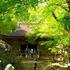 投稿日:2016年11月23日 写真