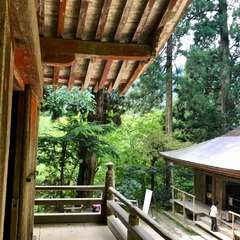 投稿日:2017年5月14日 写真