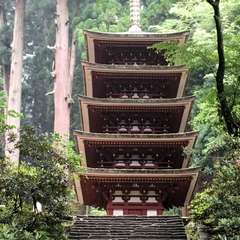 投稿日:2016年6月19日 写真