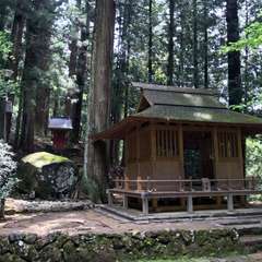 投稿日:2017年5月14日 写真