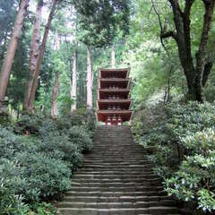 投稿日:2019年8月25日 写真