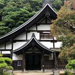 投稿日:2017年5月14日 写真