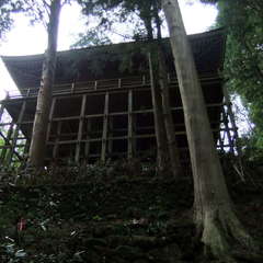 投稿日:2019年8月25日 写真