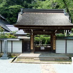 投稿日:2019年8月25日 写真