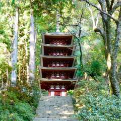 投稿日:2016年11月23日 写真