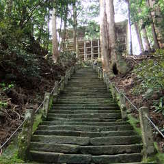 投稿日:2019年8月25日 写真