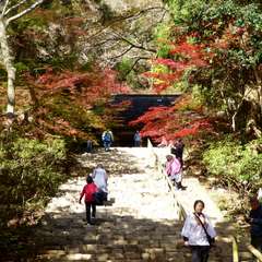 投稿日:2016年11月23日 写真